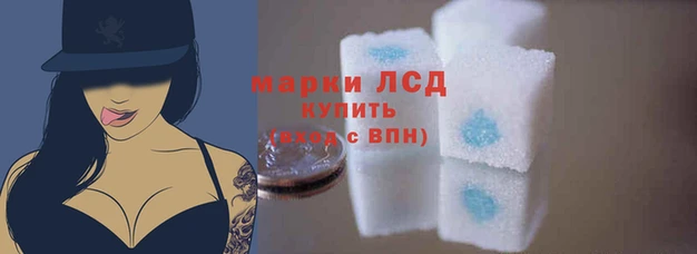 PSILOCYBIN Беломорск