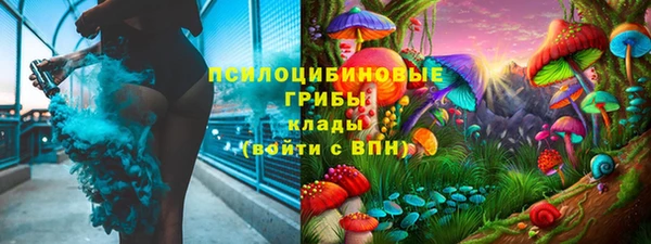 PSILOCYBIN Беломорск