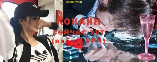 мдпв Белокуриха