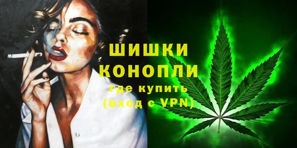 PSILOCYBIN Беломорск