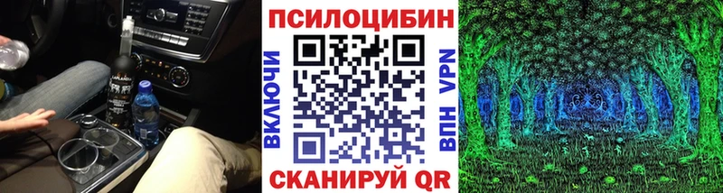 Галлюциногенные грибы Psilocybe  купить   Шебекино 